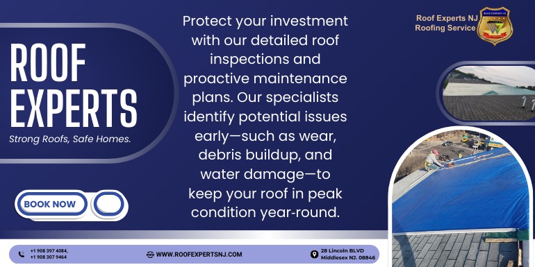 Smart Tips for Roof Inspection and Maintenance